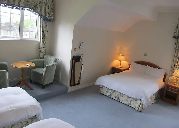 Old Weir 4* كيلارني